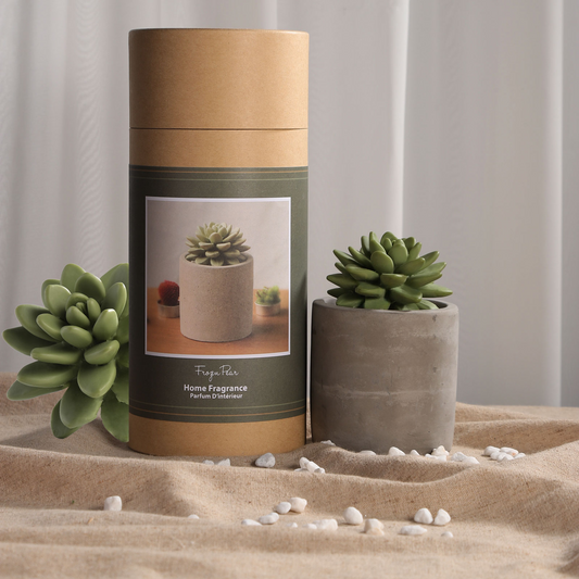 Pretty Valley Home Succulent Diffuser Ceramic Planter Set - Frozen Pear