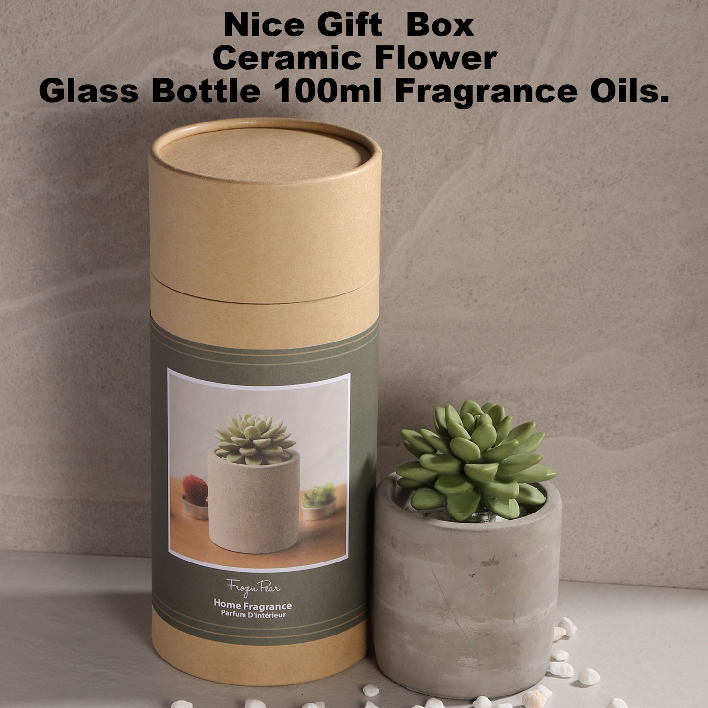 Pretty Valley Home Succulent Diffuser Ceramic Planter Set - Frozen Pear