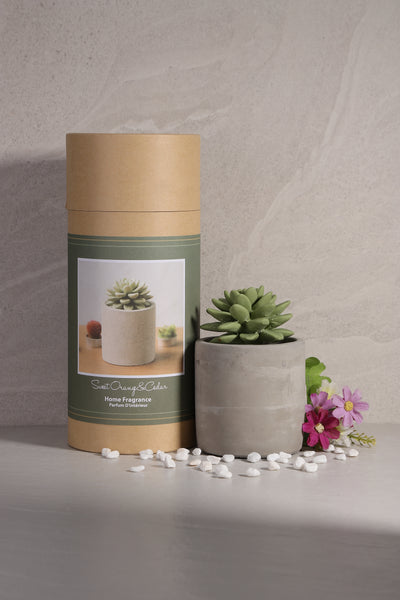 Succulent Diffuser Ceramic Planter Set Sweet Orange Cedar DF-OC-1316R