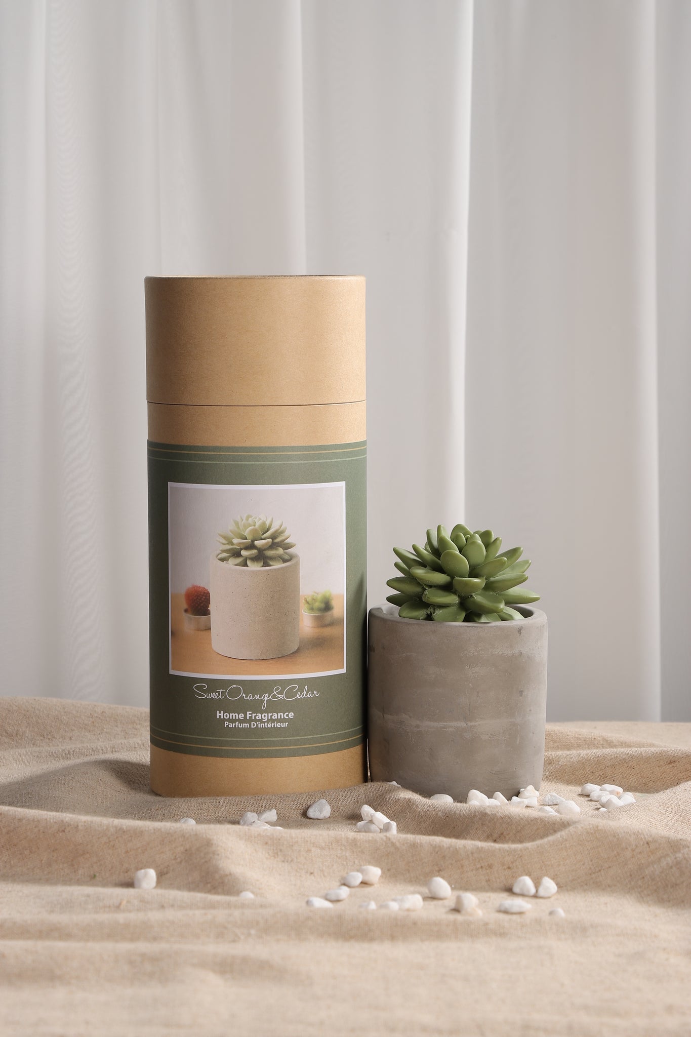 Succulent Diffuser Ceramic Planter Set Citrus Verbena DF-CV-1316R