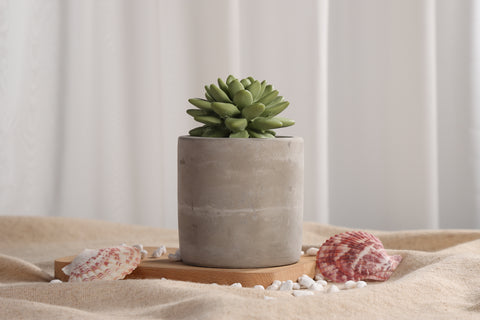 Succulent Diffuser Ceramic Planter Set Citrus Verbena DF-CV-1316R