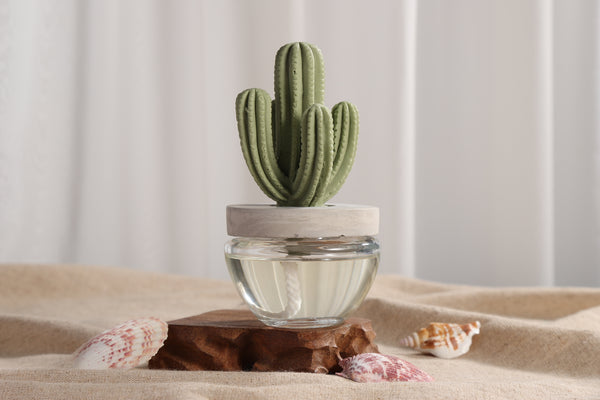 Cactus Ceramic Flower Fragrance Diffuser Set Beautiful 200ml DFC-CAC-1314