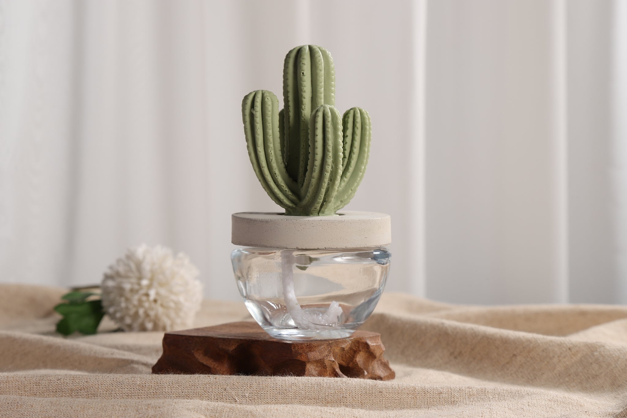 Cactus Ceramic Flower Fragrance Diffuser Set Beautiful 200ml DFC-CAC-1314