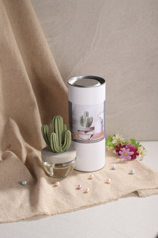 Cactus Ceramic Flower Fragrance Diffuser Set Beautiful 200ml DFC-CAC-1314