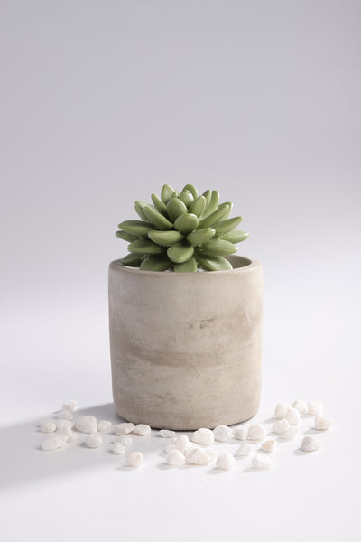 Succulent Diffuser Ceramic Planter Set Citrus Verbena DF-CV-1316R
