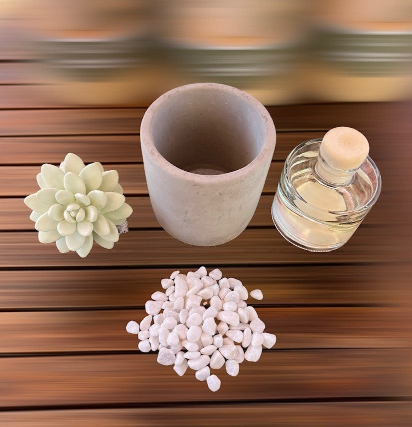 Pretty Valley Home Succulent Diffuser Ceramic Planter Set - Citrus Verbena