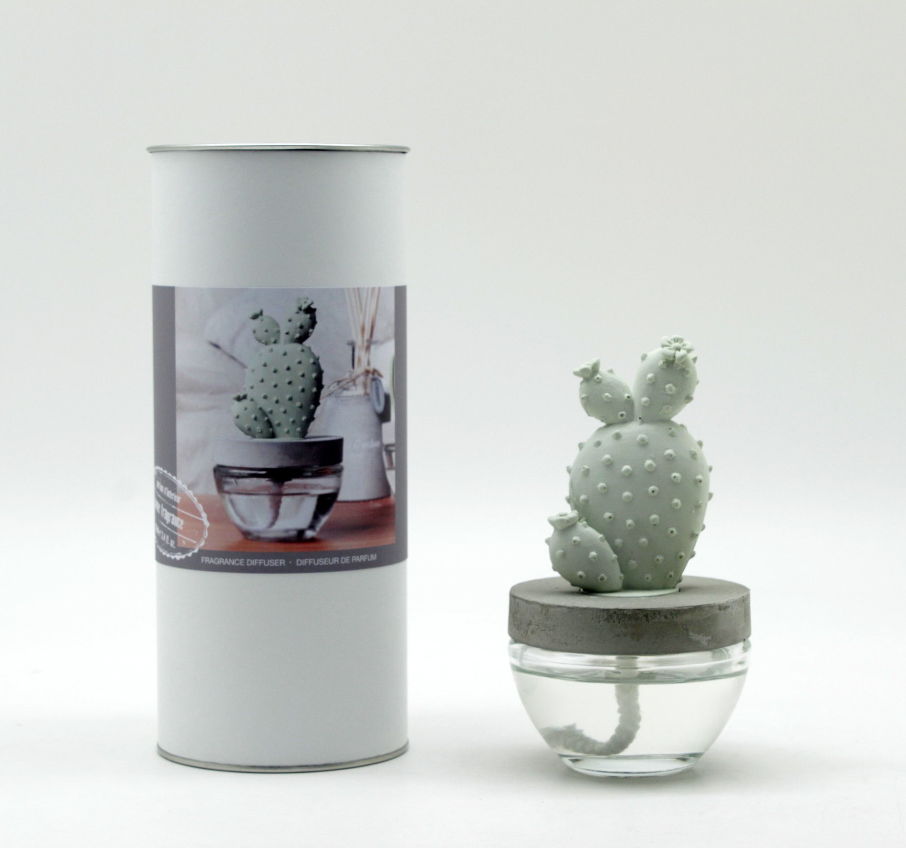 Cactus Fragrance Diffuser Set 6047-White Flower 100ml