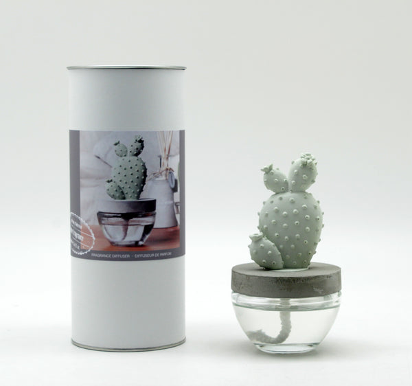 Cactus Fragrance Diffuser Set 6047-White Flower 100ml