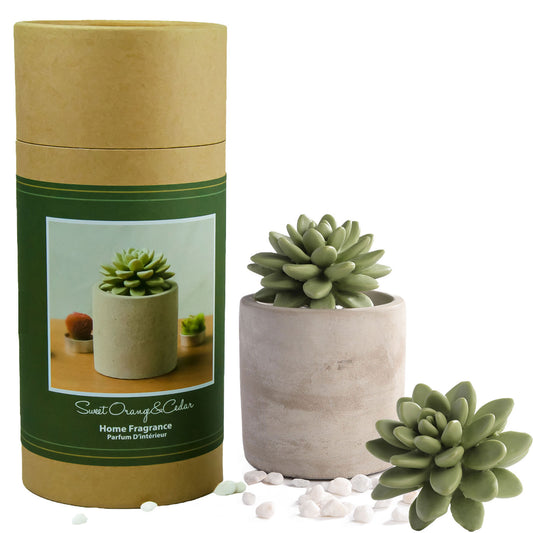 Pretty Valley Home Succulent Diffuser Ceramic Planter Set - Sweet Orange Cedar