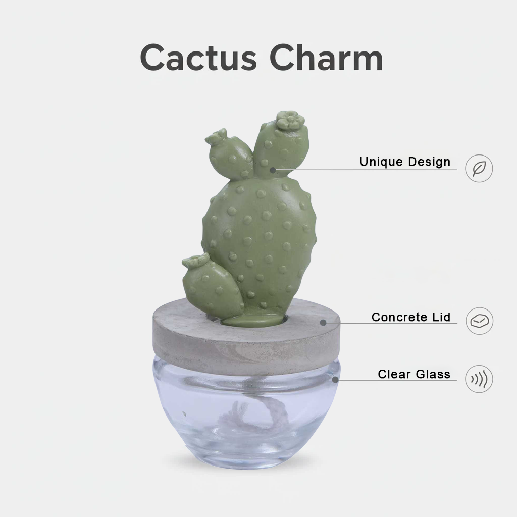 Pretty Valley Home Reed Diffuser Set Ceramic Cactus Fragrance Diffuser- 3.38 fl oz (100 ml), Home Fragrance Reed Diffuser for Bathroom Office Living Room Dining Table Decor - WHITE FLOWER