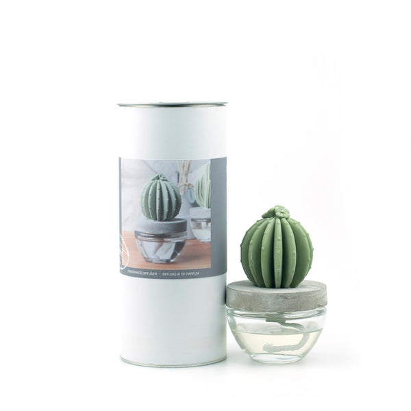 Cactus Fragrance Diffuser Set 6047-Ocean Breeze 100ml