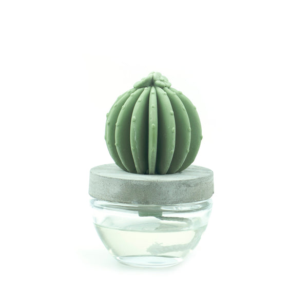 Cactus Fragrance Diffuser Set 6047-Ocean Breeze 100ml