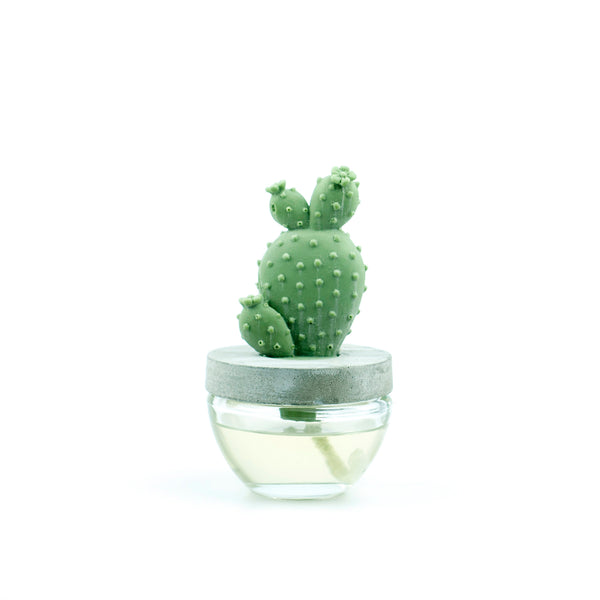 Cactus Fragrance Diffuser Set 6047-White Flower 100ml