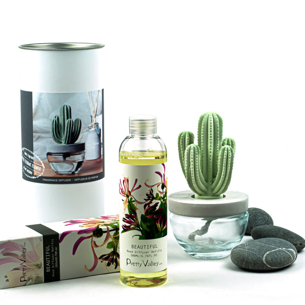 Cactus Ceramic Flower Fragrance Diffuser Set Beautiful 200ml DFC-CAC-1314