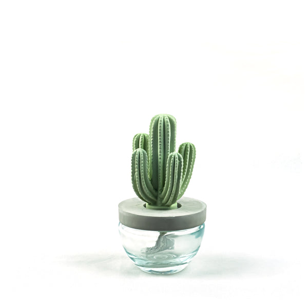 Cactus Ceramic Flower Fragrance Diffuser Set White Orchid 200ml DFC-CAC-1314