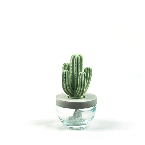 Cactus Ceramic Flower Fragrance Diffuser Set Beautiful 200ml DFC-CAC-1314