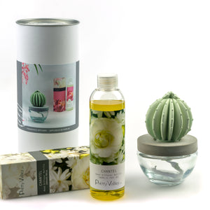 Barrel Cactus Ceramic Flower Fragrance Diffuser Combo Chantel 200ml DFC-BRL-9134