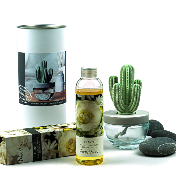 Cactus Ceramic Flower Fragrance Diffuser Set Chantel 200ml DFC-CAC-1314