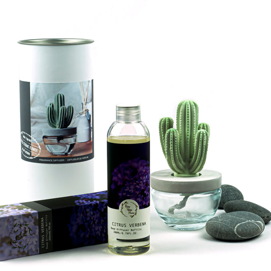Pretty Valley Home Cactus Ceramic Flower Fragrance Diffuser Set Citrus Verbena 200ml