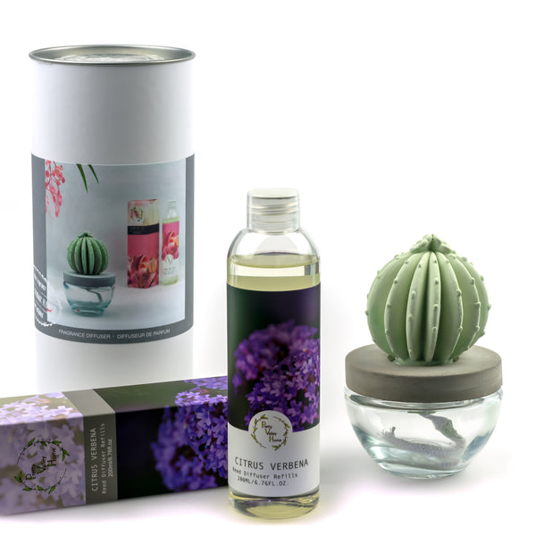 Barrel Cactus Ceramic Flower Fragrance Diffuser Combo Citrus Verbena 200ml DFC-BRL-9134