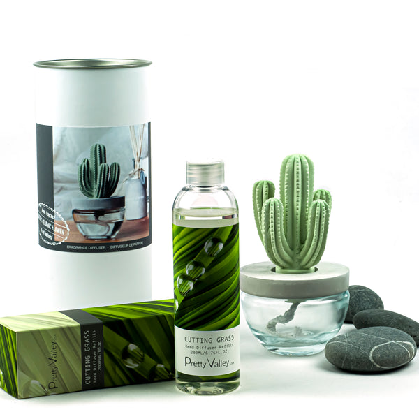 Cactus Ceramic Flower Fragrance Diffuser Set Cutting Grass 200ml DFC-CAC-1314