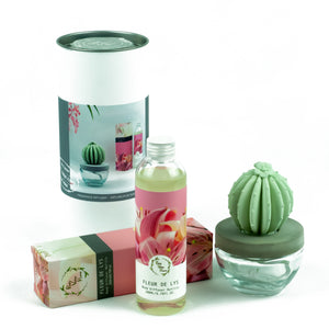 Barrel Cactus Ceramic Flower Fragrance Diffuser Combo Fleur De Lys 200ml DFC-BRL-9134