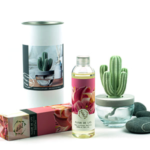 Cactus Ceramic Flower Fragrance Diffuser Set Fleur De Lys 200ml DFC-CAC-1314
