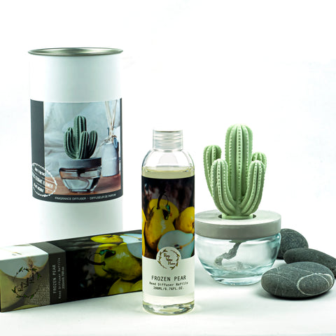 Cactus Ceramic Flower Fragrance Diffuser Set Frozen Pear 200ml DFC-CAC-1314