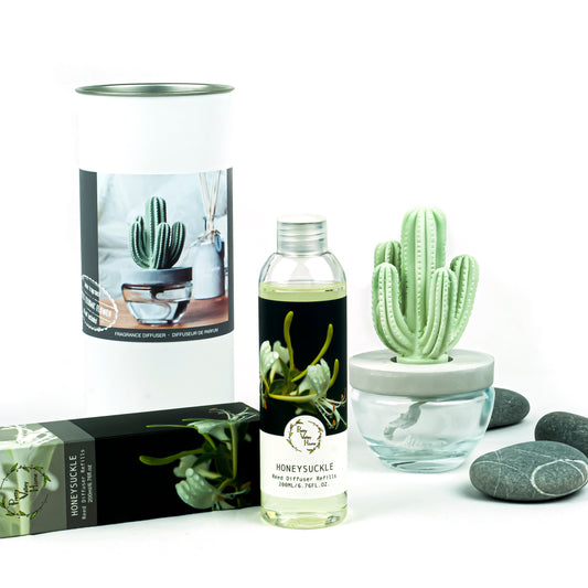 Pretty Valley Home Cactus Ceramic Flower Fragrance Diffuser Set Honeysuckle 200ml