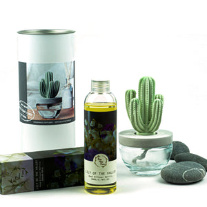 Cactus Ceramic Flower Fragrance Diffuser Set Lily Of The Valley 200ml DFC-CAC-1314