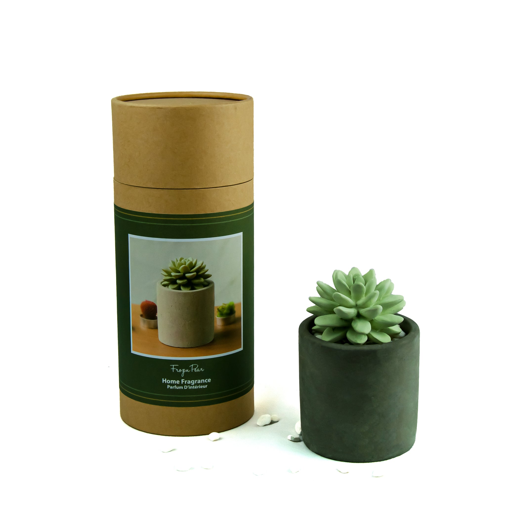 Succulent Diffuser Ceramic Planter Set Frozen Pear DF-FP-1316R