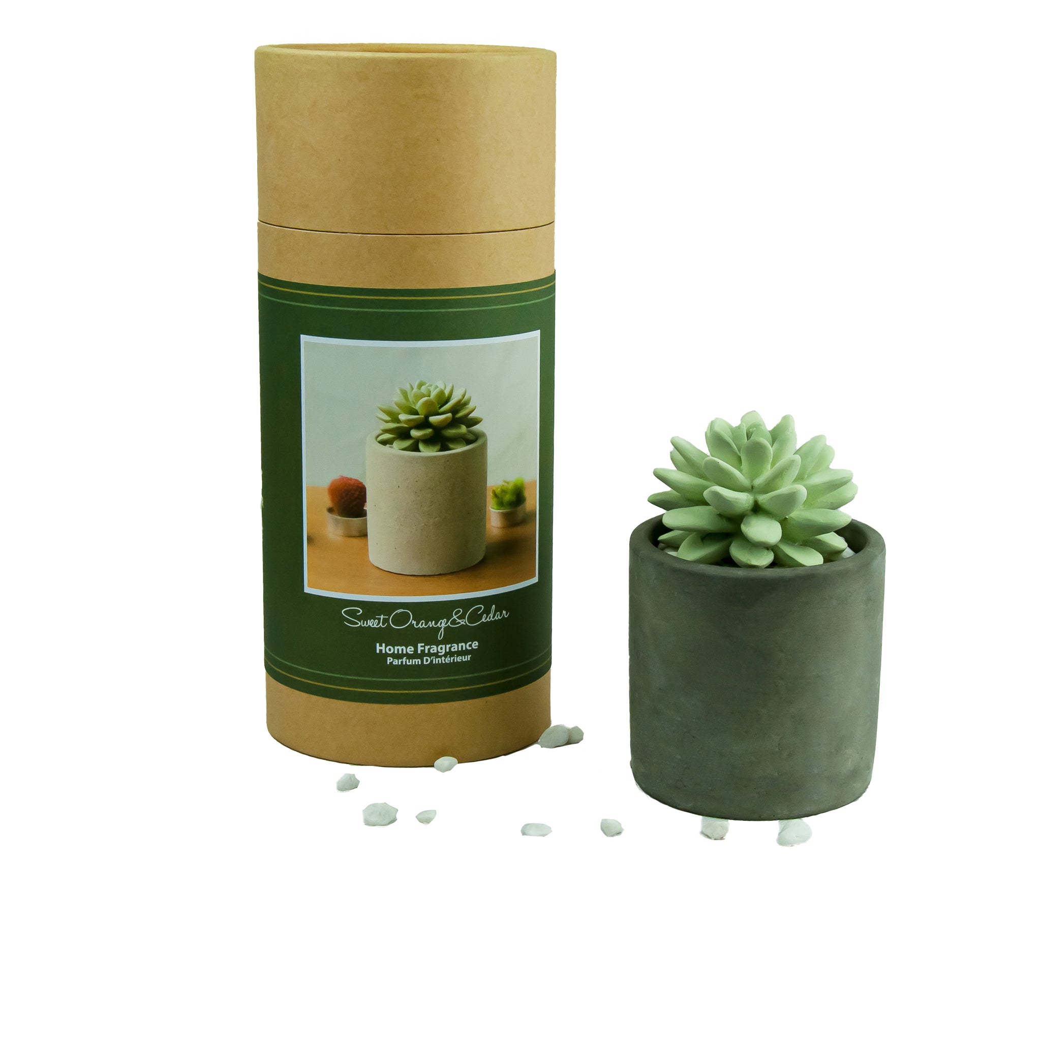 Succulent Diffuser Ceramic Planter Set Sweet Orange Cedar DF-OC-1316R