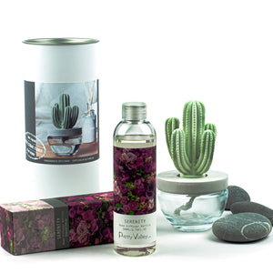 Cactus Ceramic Flower Fragrance Diffuser Set Serenity 200ml DFC-CAC-1314