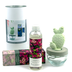 Bunny Ear Cactus Ceramic Flower Fragrance Diffuser Combo Serenity 200ml DFC-BNY-9134