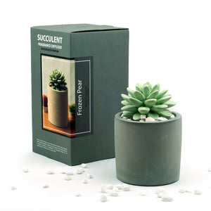 Succulent Gypsum Fragrance Diffuser Ceramic Vase Set 1316 Frozen Pear 100ml