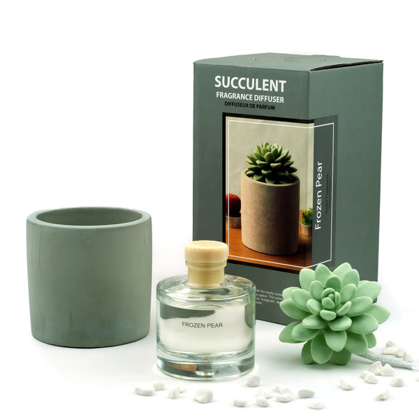 Succulent Gypsum Fragrance Diffuser Ceramic Vase Set 1316 Frozen Pear 100ml