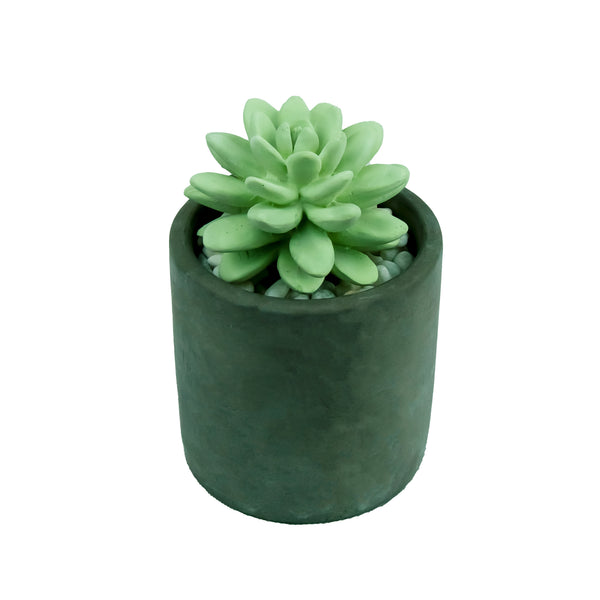 Succulent Diffuser Ceramic Planter Set Frozen Pear DF-FP-1316R