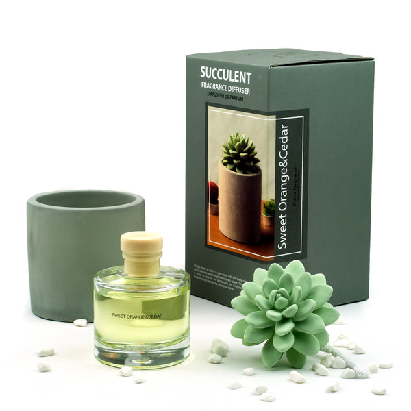 Succulent Gypsum Fragrance Diffuser Ceramic Vase Set 1316 Sweet Orange Cedar 100ml