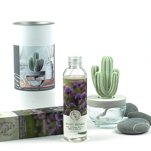 Pretty Valley Home Cactus Ceramic Flower Fragrance Diffuser Set Velvet Petunia 200ml