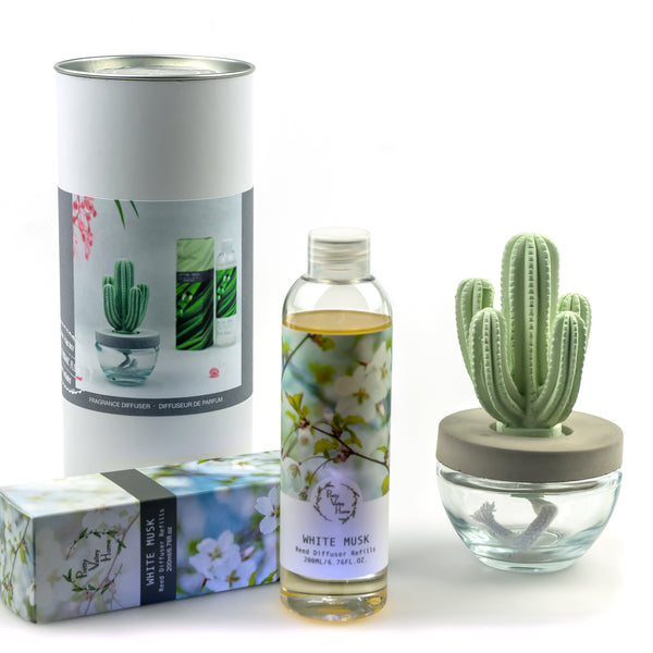 Cactus Ceramic Flower Fragrance Diffuser Combo White Musk 200ml DFC-CAC-9134